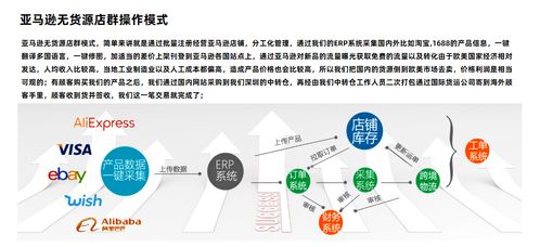 跨境电商亚马逊无货源模式erp系统贴牌定制