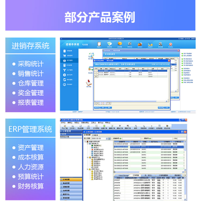 软件开发量身定制